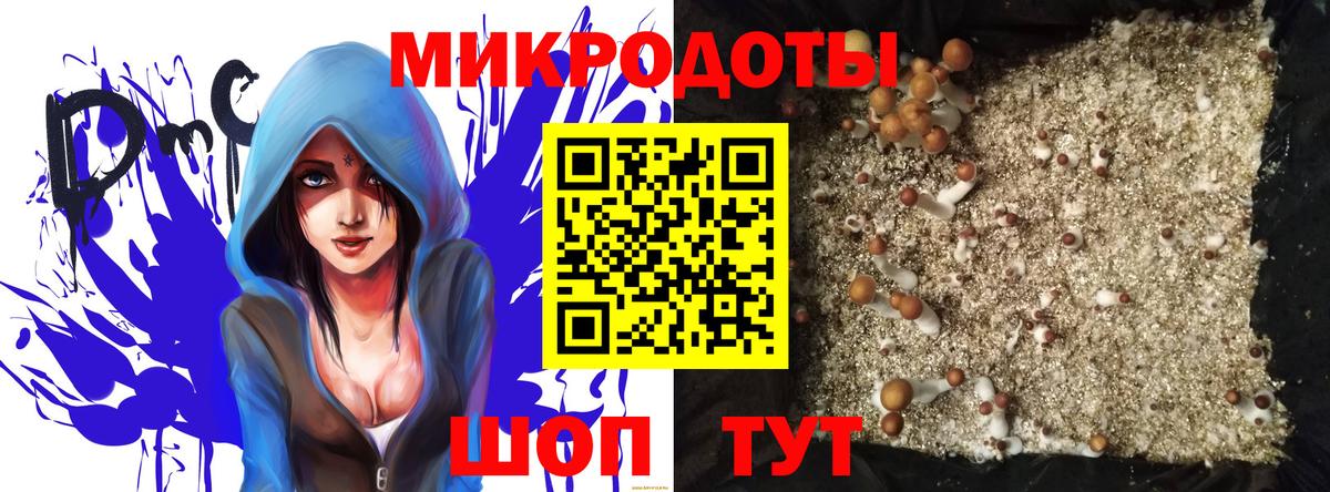 как найти закладки  Псилоцибиновые грибы мухоморы  Вход с VPN  Каменка  Галлюциногенные грибы MAGIC MUSHROOMS 